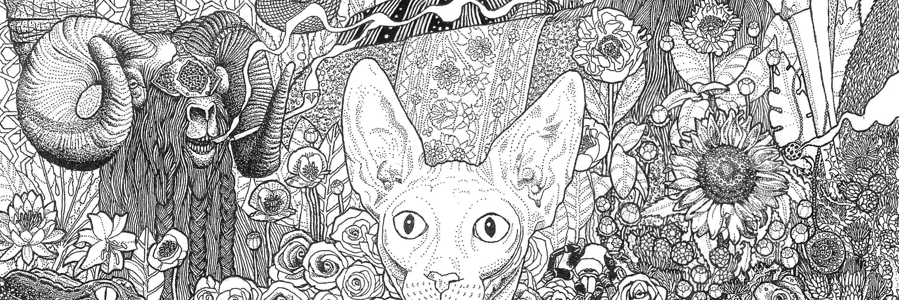 WDV_illustrator's profile banner image