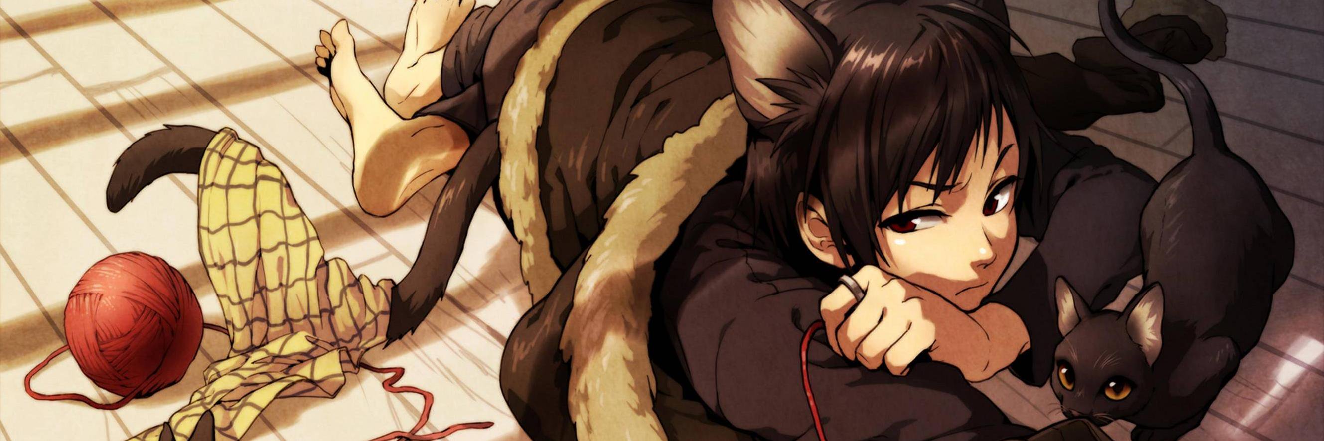 Fabia_Novos's profile banner image