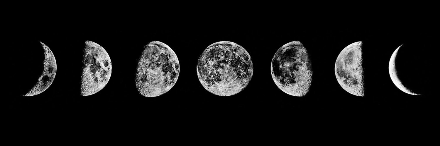 Eleanor Lewis banner