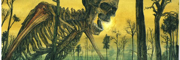 ezamima Profile Banner