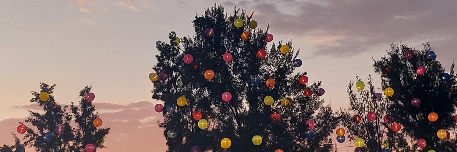 EliiAcIs's profile banner image