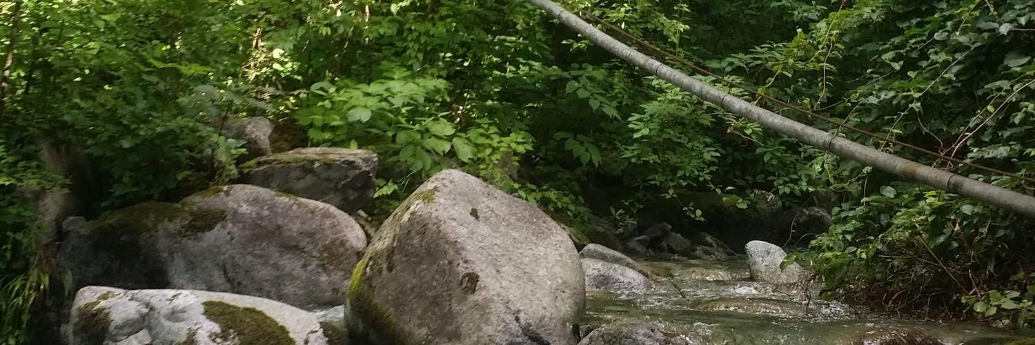 movepoint47's profile banner image