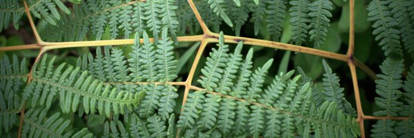 EricJRoseen Profile Banner