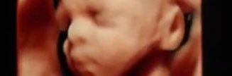 peezyblasco's profile banner image
