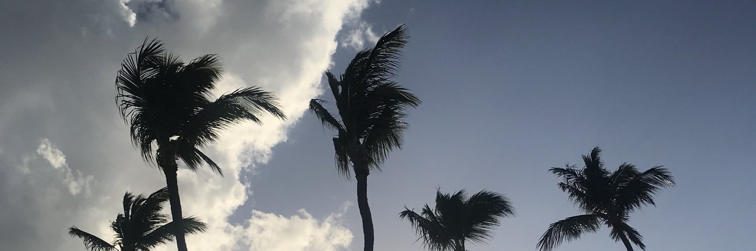 denisacooper's profile banner image