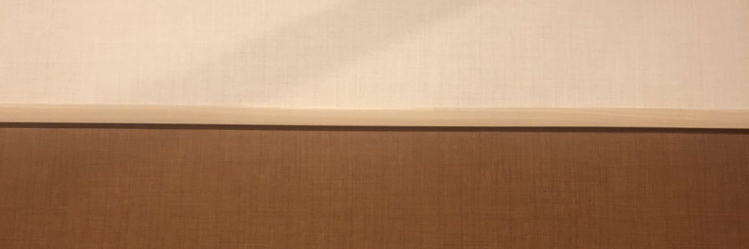 monst11924's profile banner image