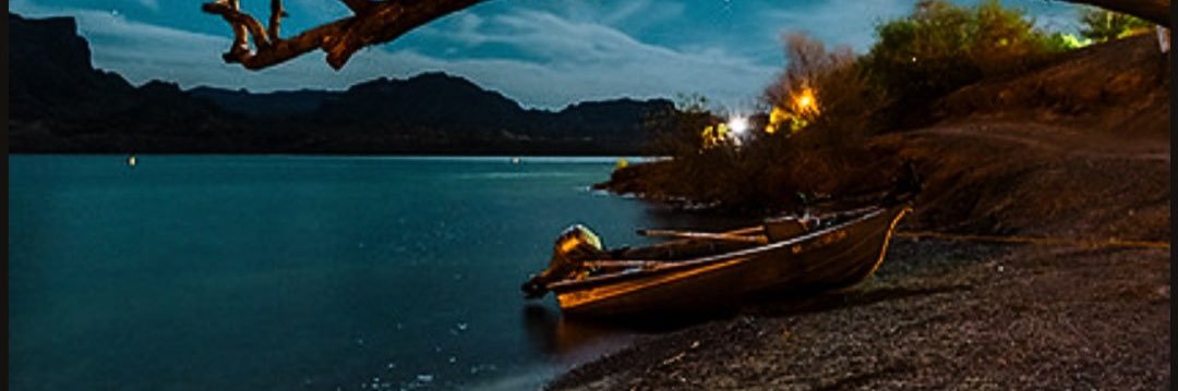 feeyn's profile banner image