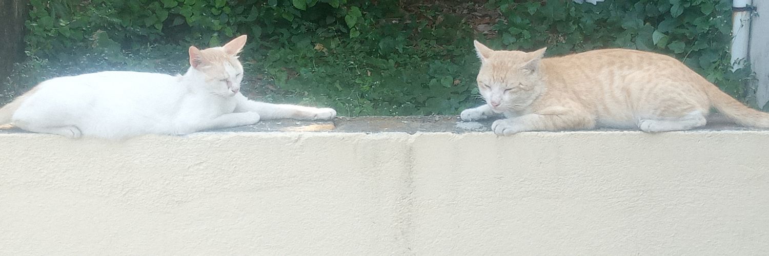 Krishna Kumar banner