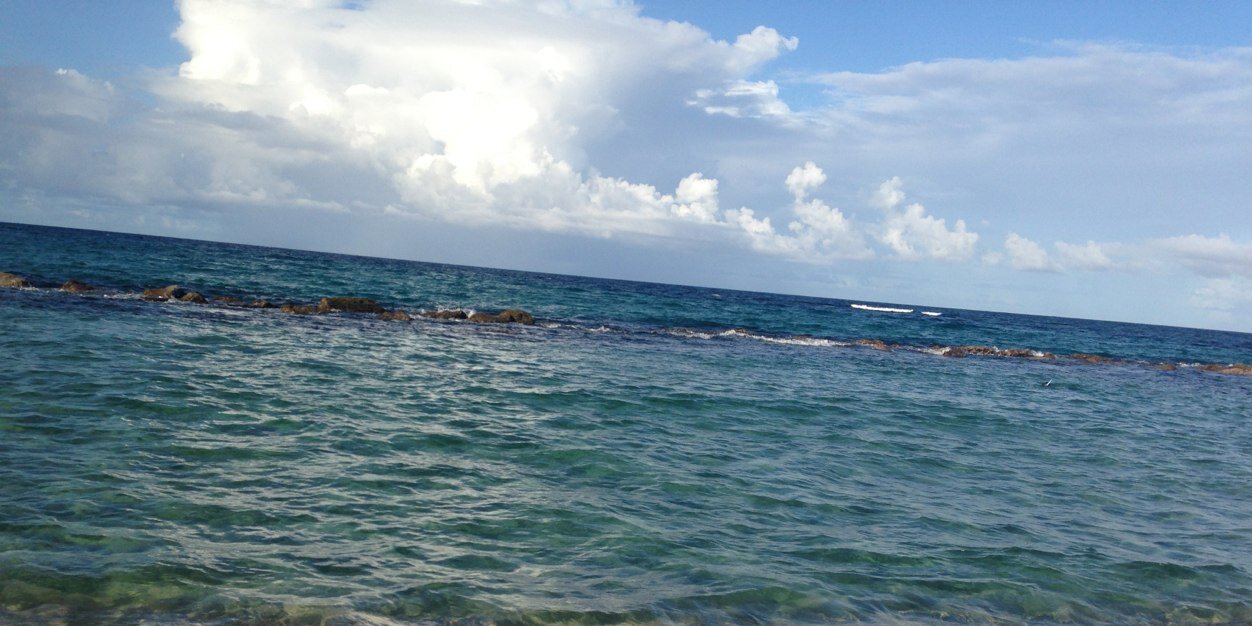 Steph_Cal's profile banner image