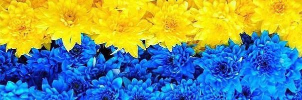 FloweringUkr's profile banner image