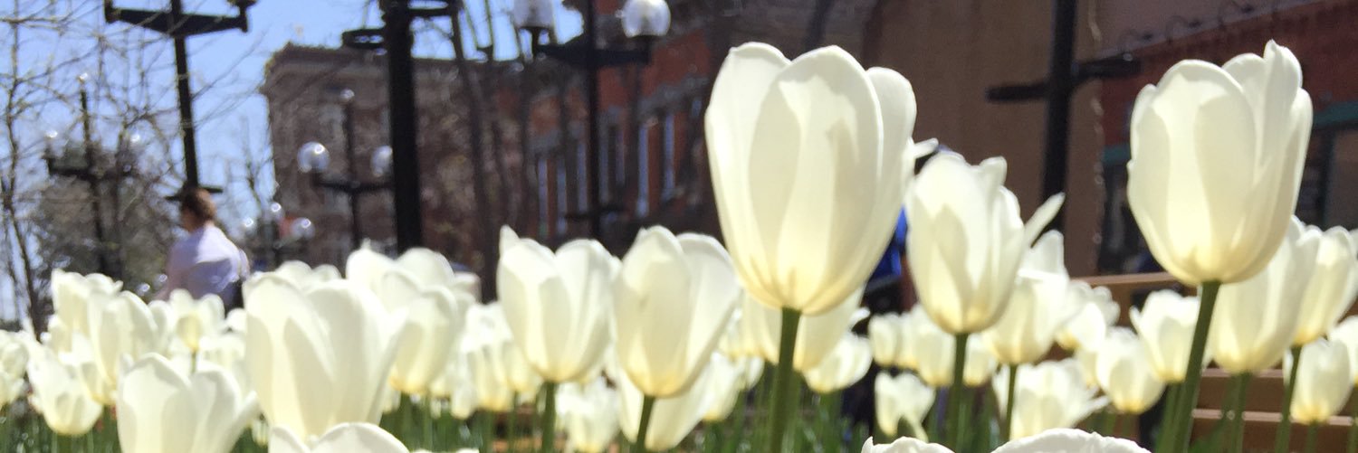 MissSarahMarie_'s profile banner image