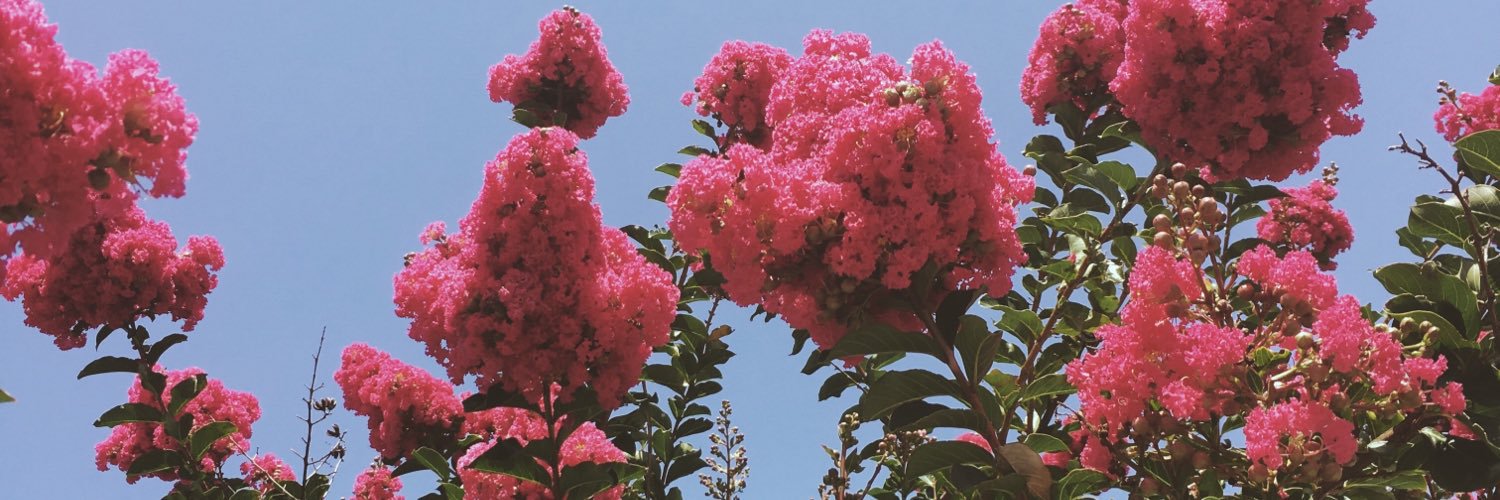 MikaylaMueller's profile banner image