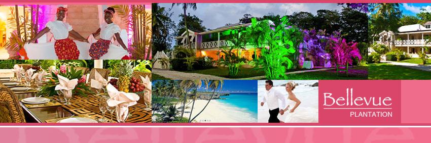 BellevuePlan's profile banner image