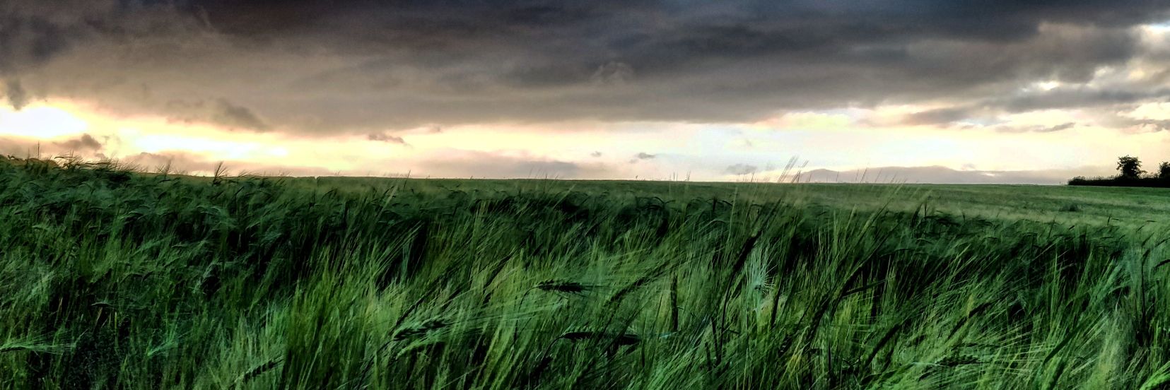 jonathan_heaney's profile banner image