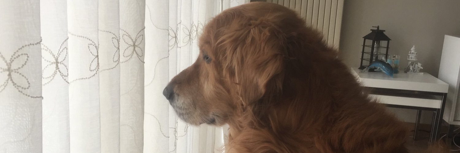 D_BKM_'s profile banner image
