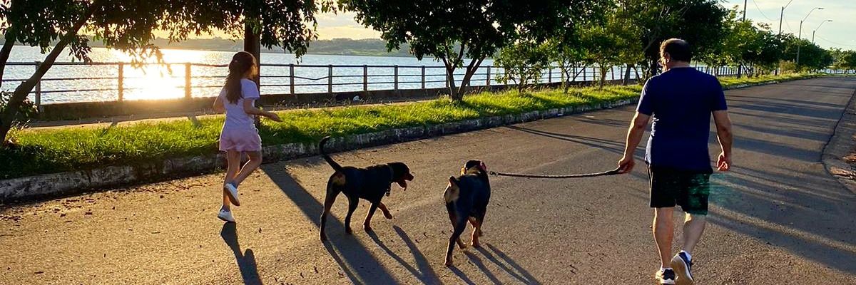 PLSilveyra's profile banner image