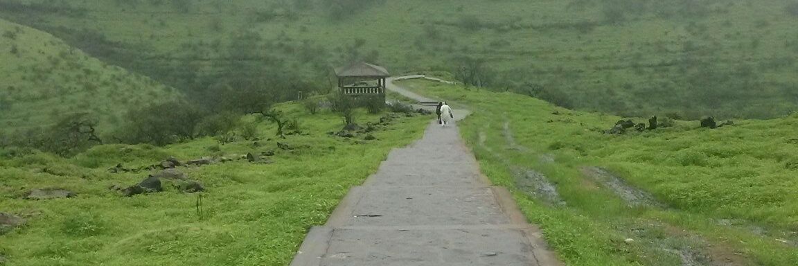 أحمد سعيۓ ..♡ banner