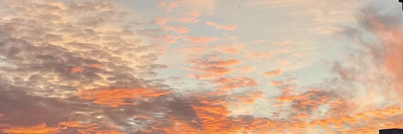 meadowlark___'s profile banner image
