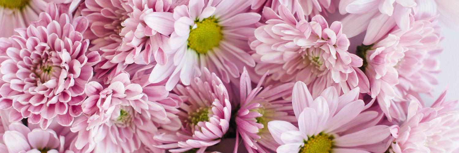 SeeJaneBake's profile banner image