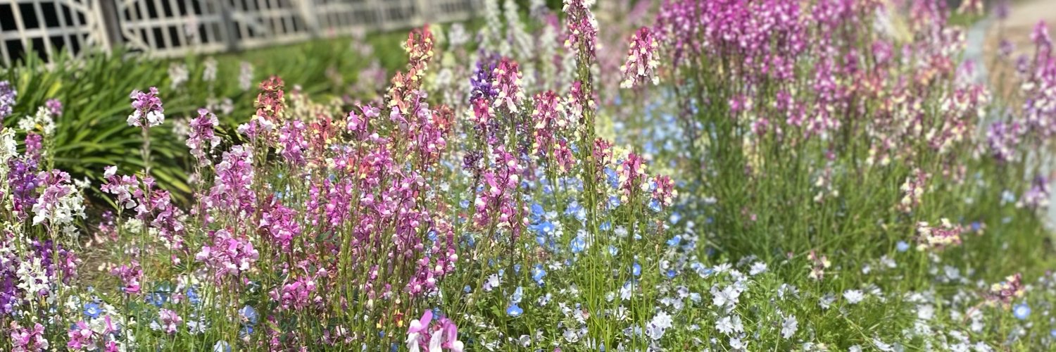 saniwa_seo's profile banner image