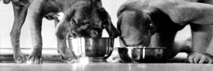 ptitsoumis's profile banner image