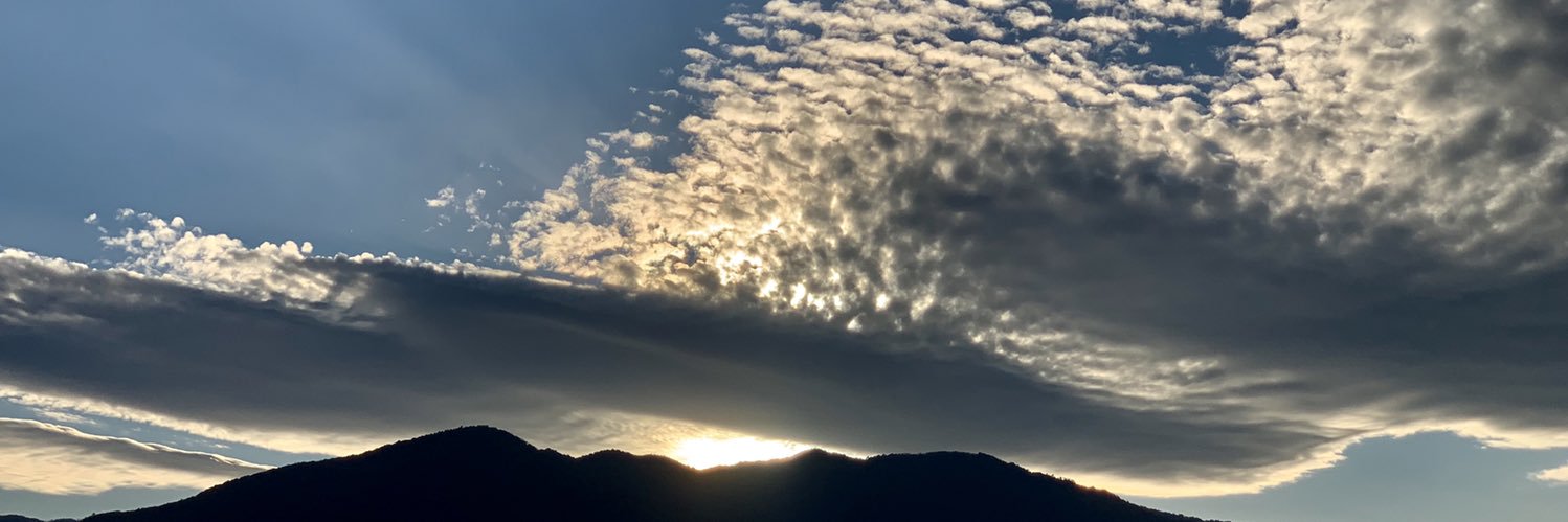 syangdenn's profile banner image