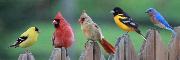 MsMaryThomasson Profile Banner