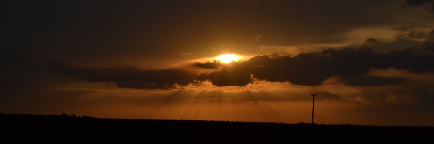 FLisazo's profile banner image