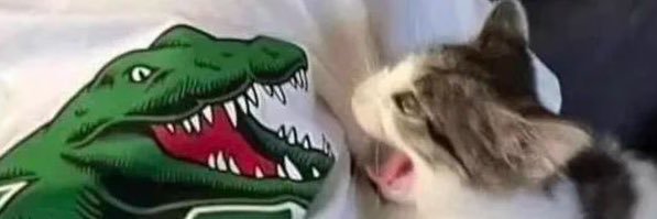 jufernande_z's profile banner image