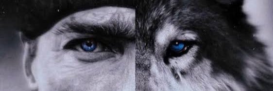 harun_tok's profile banner image