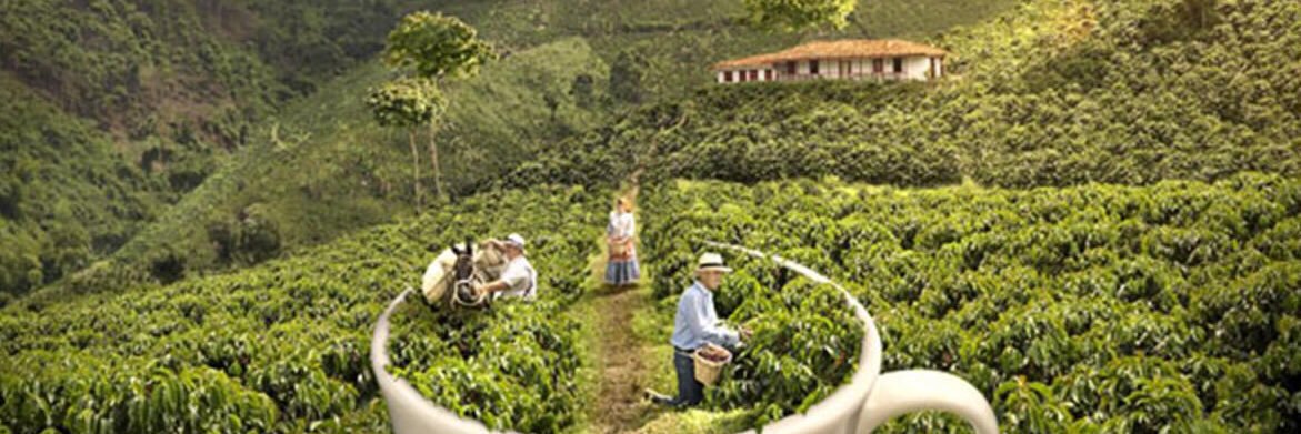 cafe_la_finca's profile banner image