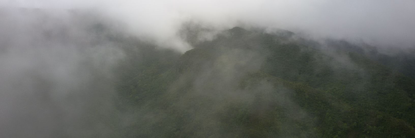 Sérgio Timóteo banner