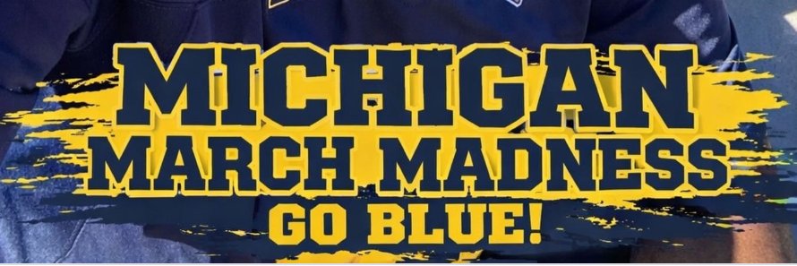 MinnnesotaFan banner