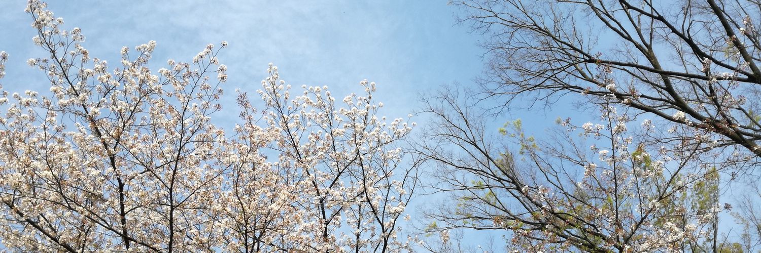 keiko_o528's profile banner image
