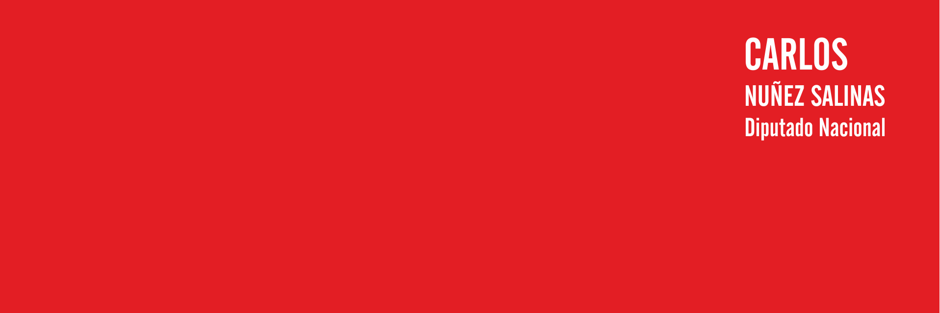 carloscanusa's profile banner image