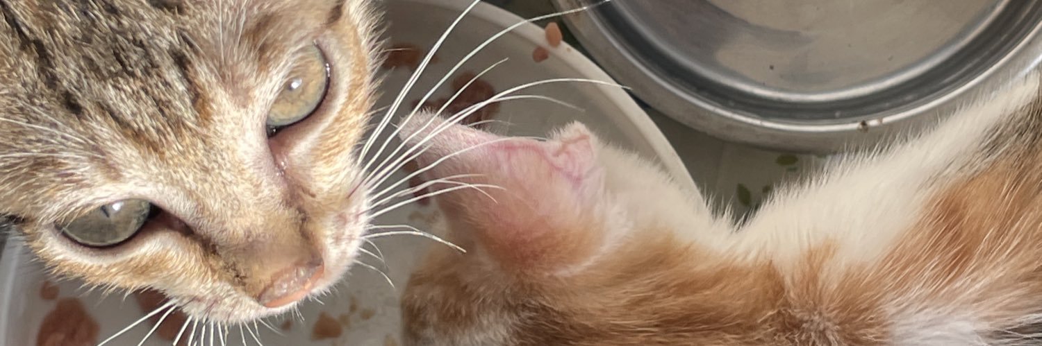 IHECHUKWU ✨✨ banner