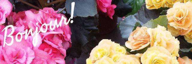 EPistoni91's profile banner image