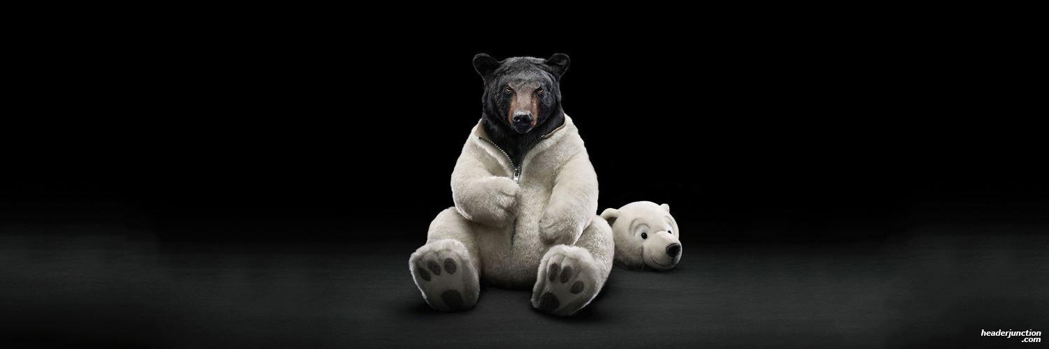 2004 BC Bears banner