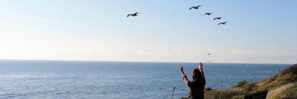 KellyRambeau's profile banner image