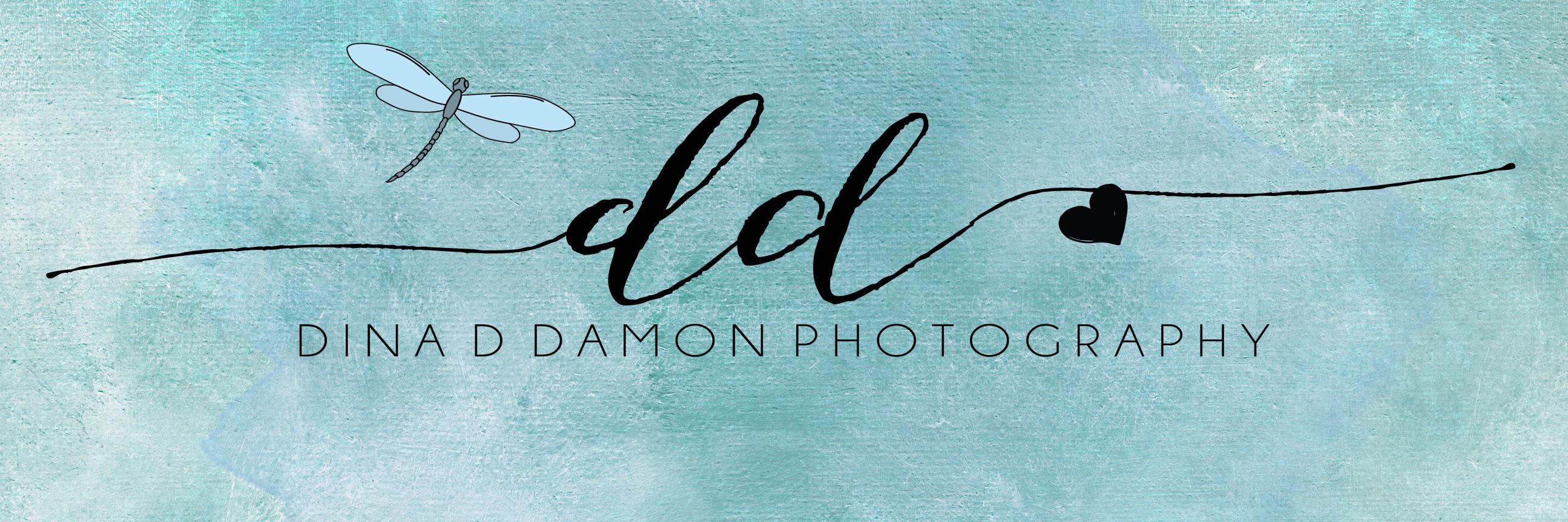 DinsPhotos's profile banner image