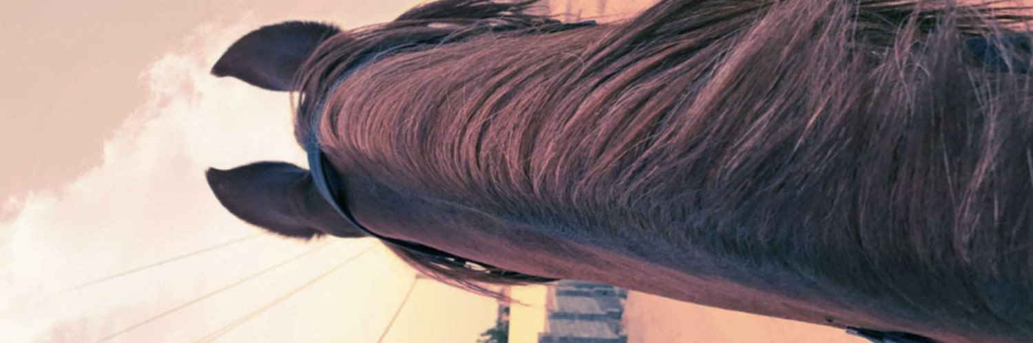 Motiri_Q8's profile banner image