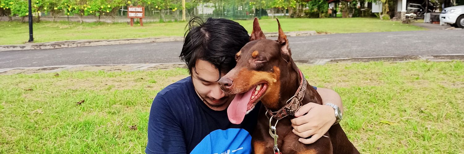 RaphaelRedor's profile banner image