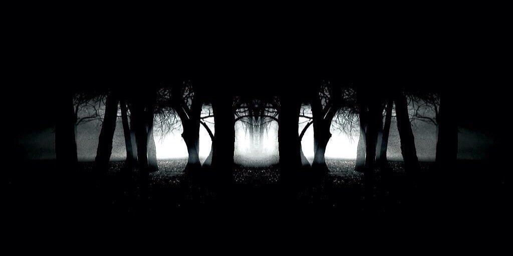 Str8DropImLegit's profile banner image