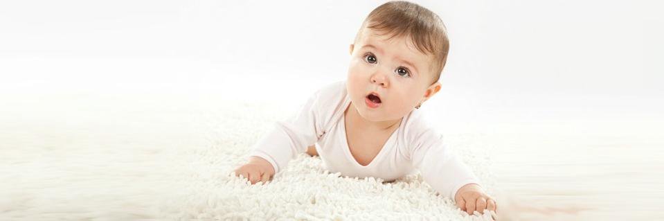 HomeCarpetCleaner banner