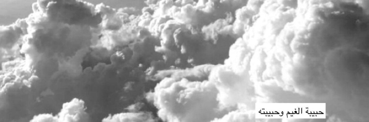 َميــاســه .. 🕊️ banner