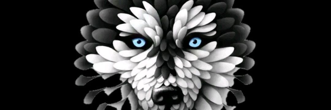 Barbarthunde1's profile banner image