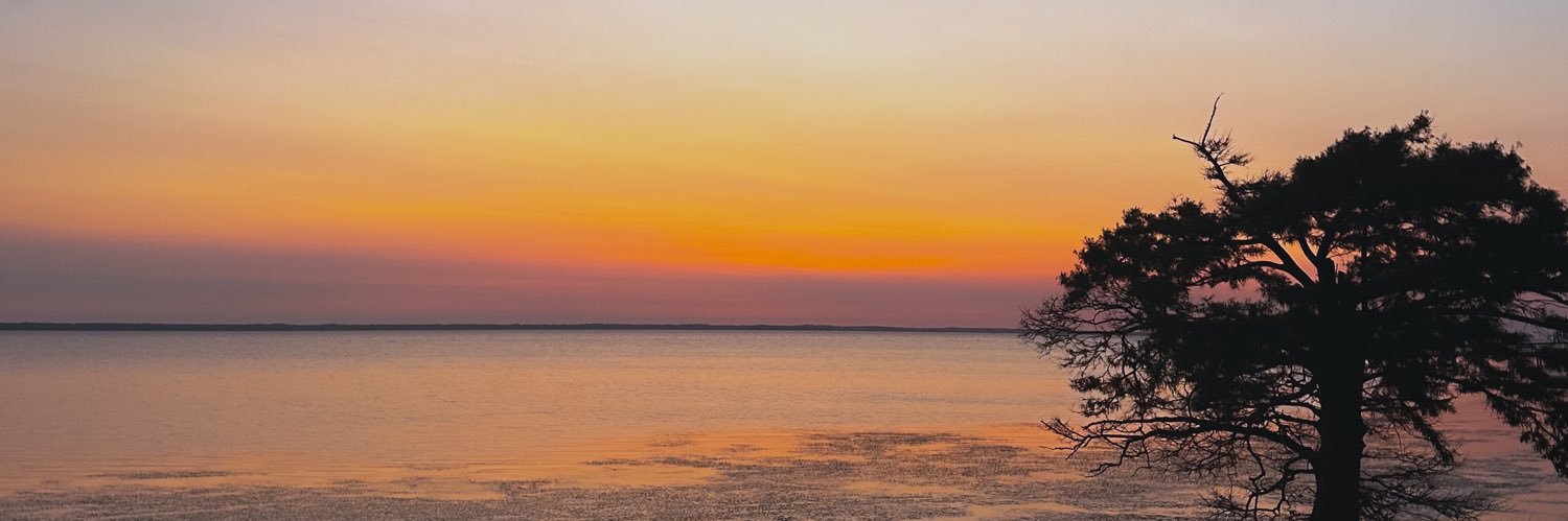 vic🍒 banner