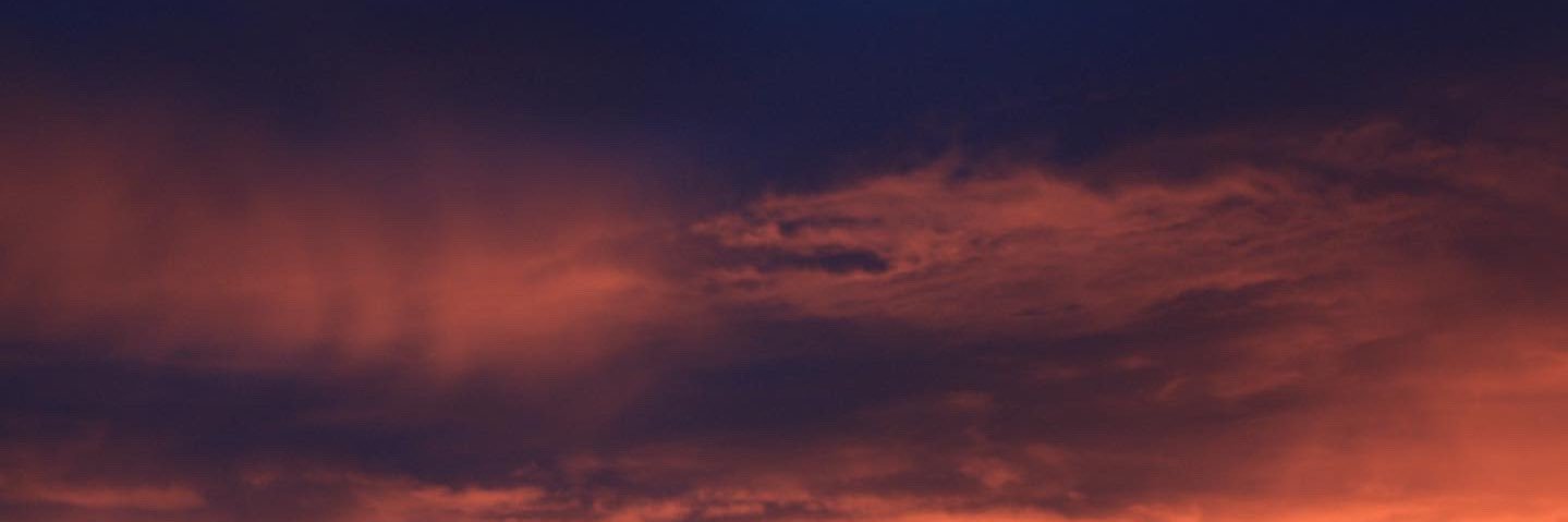 miawebberr's profile banner image