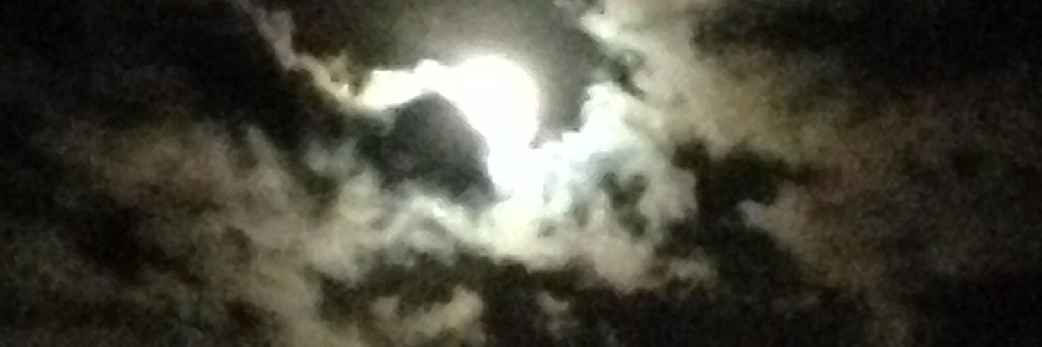 ThomasProbst2's profile banner image