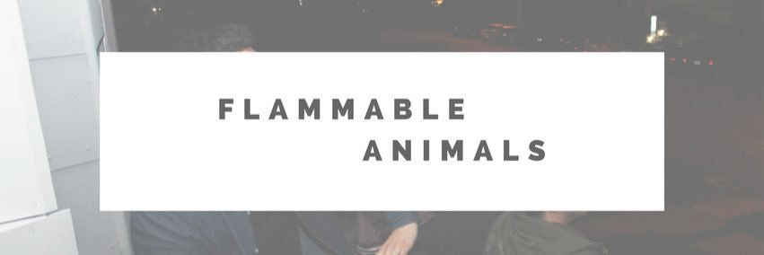 flamanimals's profile banner image